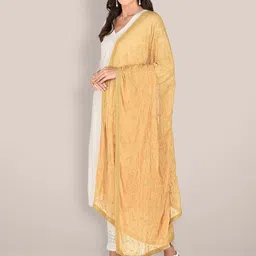 Dupatta Bazaar Embroidered Dupatta image 4