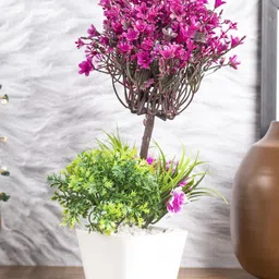 MARKET99 Purple & Green Artificial Plant With Pot-20