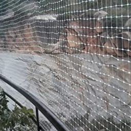 MESH MASTERS UV Stabilized Nylon Pigeon Net_Bird Net_Monkey Net_8 X 10 Feet_White Color MMSTN32 image 3