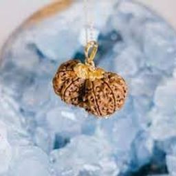 Astro Cart Gowri Shankar Rudraksha Bead Combined Rudraksha गौरी शंकर रुद्राक्ष Gori Shankar Rudraksha नेपाली गौरी शंकर रुद्राक्ष Gaurishankar Rudraksha Igl Certificate 29mm for Puja image 2