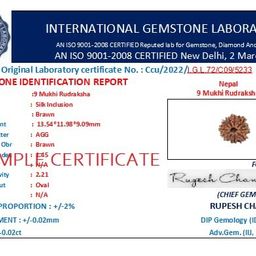 SRT Rudra 9 Mukhi Rudraksha Original Certified Nau Mukhi Rudraksha Nepal with Silver Capping Nine Mukhi Rudraksah With Certificate 9 मुखी रुद्राक्ष 9 Mukhi Rudraksha Nepal Blessed by Goddess Durga 9 Face Rudraksha 18mm 9 Mukhi Rudraksha Pendant image 5