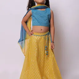 My Little Lambs Girls Blue & Green Ready to Wear Lehenga & Blouse With Dupatta-image-87