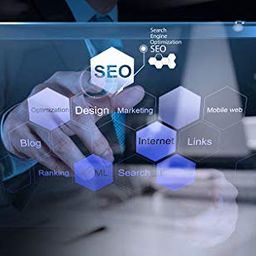 Mastering DIGITAL MARKETING Training Tutorial Video DVD – Fast Learning Self-Paced Tutorial High Quality Training Videos with Examples | No Subscription Required | LIFETIME ACCESS | NO LIMITS image 5