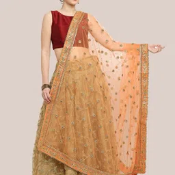 Dupatta Bazaar Embroidered Dupatta with Zardozi-18