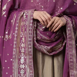 AURELIA Ethnic Motif Printed Chiffon Dupatta image 2