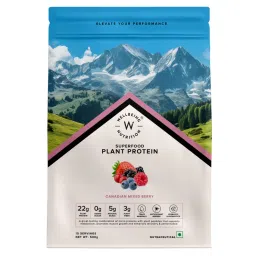 Wellbeing Nutrition Organic Vegan Protein Isolate, 3B CFU Probiotics, Canadian Mixed Berry-picture-0