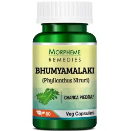 Morpheme Remedies Phyllanthus Niruri (Bhumyamlaki) Chanca Piedra - Stone Breaker - 500mg Extract-picture-3