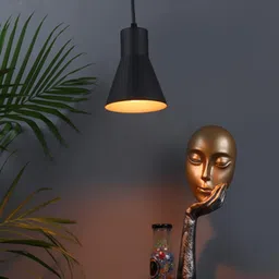 shoppeefry Limpid Black Hanging Light by SS Lightings-picture-48