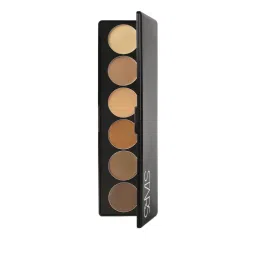 Stars Cosmetics Derma Cream Foundation Color Palette-picture-14