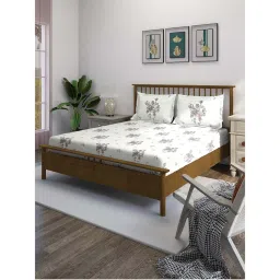 Swayam Grey Floral 210 TC Pure Cotton Bedsheet with Pillow Covers-picture-48