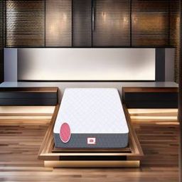 coirfit Twin Dlx Dual Comfort SRTX Tech Single Size Mattress-picture-14