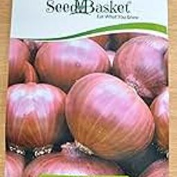 Seed Basket Native/Non-GMO Onion Seeds for Home Garden (400 Seeds with More than 70% Germination) And Instruction Manual-image-79