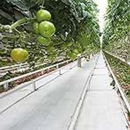 Singhal Premium Garden Weed Control Barrier Sheet Mat 3.5 Meter x 40 Meter, Landscape Fabric 150 GSM Heavy Duty Weed Block Gardening Mat for Gardens, Agriculture, Outdoor Projects (White)-image-78