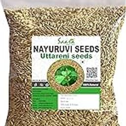 Saara HERBAL FRESH Nayuruvi Seeds, 50g, Uttareni seeds, Apamarga, Achyranthes Aspera, Latjira, Chirchita, Chaff Flower Seeds,50g-image-37