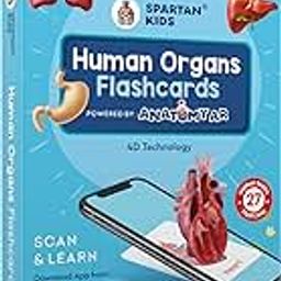 SPARTAN KIDS® Human Organs Flash Cards | Early Learning 4D Technology Flash Cards for Kids | 27 Augmented Reality Cards for Kids 3+ Years-image-7