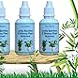 City Greens Lucky Bamboo & Money Plant Nutrient 90 ml - Liquid Fertilizer for Aquatic Plants - 30ml Bottle Each-image-65