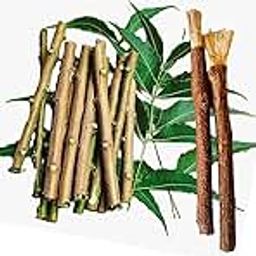 MINETREE® Ayurvedic Natural Organic Neem Datun Pack of 30 Pieces (Moti Datun) Organic Toothbrush Nim Tree Twigs Chew Sticks for Brushing Teeth Removes Bad Breath, Toothpaste (Fresh,1WW292-image-46