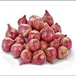 Onion Small/Sambar Onion (Pink Color) Traditional Seeds (Pack of 100+ Seeds) - GardenHunt-image-29