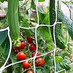 SEEDERRA Plant Climbing net & Creeper Net & Plant Trellis Net Plant Support Net Green Color for Agriculture and Gardening Net - 4Feet x 6Feet (Pack of 2)-image-3