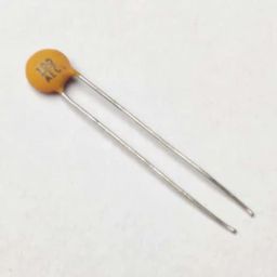 100pF Ceramic Capacitor (Pack of 5)-picture-11