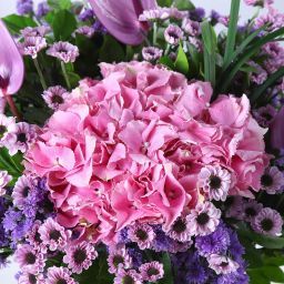 Elysian Blooms image 2