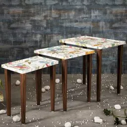 a tiny mistake Pakshi Solid Wood Side Table in Pu Paper Multicolor Finish-picture-39