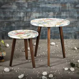 a tiny mistake Pakshi Solid Wood Side Table in Pu Paper Multicolor Finish-picture-23
