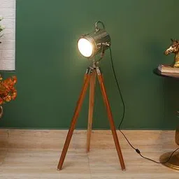 pristine interiors Alveena Nickle Aluminum Shade Floor Lamp-picture-19