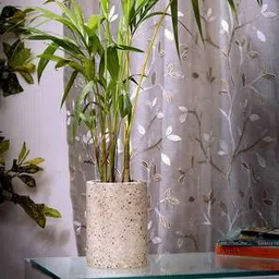 posh n plush Beige Marble Planter-picture-47