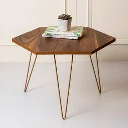 a tiny mistake Teak Hexagonal Engineered Wood Coffee Table in Matte Finish-picture-15