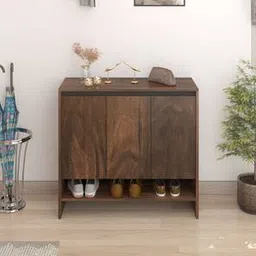 bluewud Mavis Engineered Wood Shoe Rack in Brown Maple Finish-picture-6