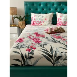 Urban Space Cotton Bedsheet With 2 Pillow Covers Cream, Pink-picture-22