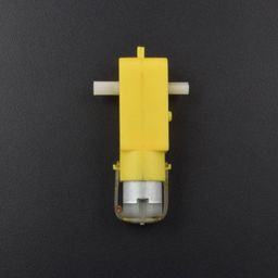 300 RPM Dual Shaft Straight BO Motor - ER018300 RPM Dual Shaft Straight BO Motor - ER018-60
