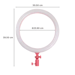 Godox LR120 Ring Light with Mobile Holder for Photography & Videography (Built-In Bi Color) image 2