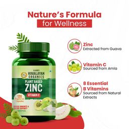 Vlado's Himalayan Organics Zinc with Vitamin C,  120 tablet(s)  image 4