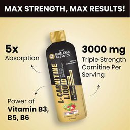 Vlado's Himalayan Organics L-Carnitine Liquid 3000mg, 450 ml Strawberry Kiwi image 4