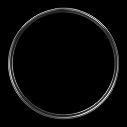 Carl Zeiss T* 62mm Camera Lens Polarizer Filter (Anti Reflective Coating)-image-27