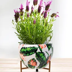 Nymph White & Green 2 Pieces Printed Flower Planters With Stand-41