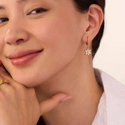 Elinor Jewels Stainless Steel 18K Gold Plated Cubic Zirconia Studded Hoop Earrings-image-34