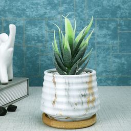Myntra Elegant Homes White & Green Succulent Artificial Plant With Pot-13