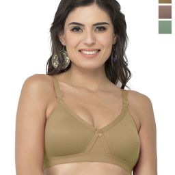 College Girl CG1304 Women Pack Of 3 Full Coverage Lightly Padded Bra-image-55