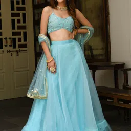 Lavanya The Label Blue & Gold-Toned Embellished Sequinned Ready to Wear Lehenga & Blouse With Dupatta-image-57
