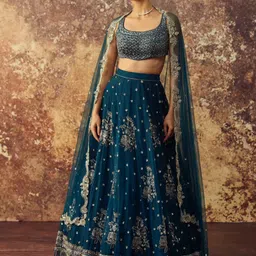 Geethika kanumilli Embroidered Organza Ready to Wear Lehenga & Blouse With Dupatta-picture-30