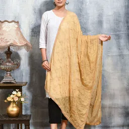swatika Ethnic Motifs Embroidered Thread Work Chiffon Dupatta-30