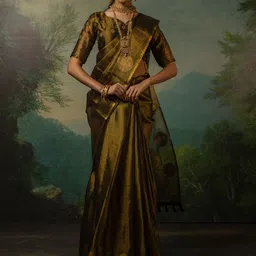 Sangria Woven Design Banarasi Saree-image-71