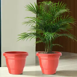 Kuber Industries 2-Pcs Red Durable Planters-36