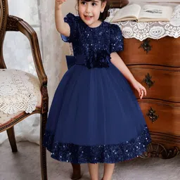 Vani Enterprise Net Fit & Flare Midi Dress-18