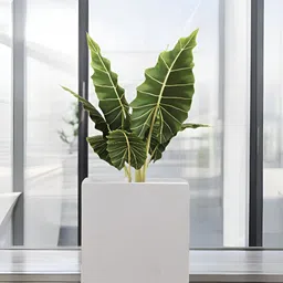 Go Hooked Cube White & Green Lightweight Planter-73