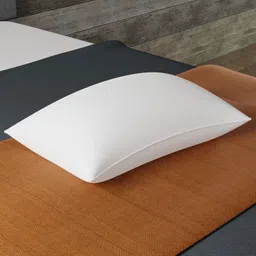MAXNAP Sleep Support Mischief Relax White Fibre Filled Rectangle Sleep Pillow-47