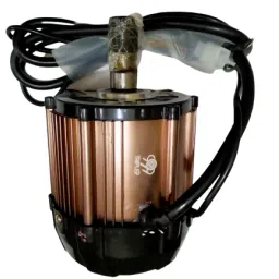 48V/60V 1000W BLDC MOTOR 999-28